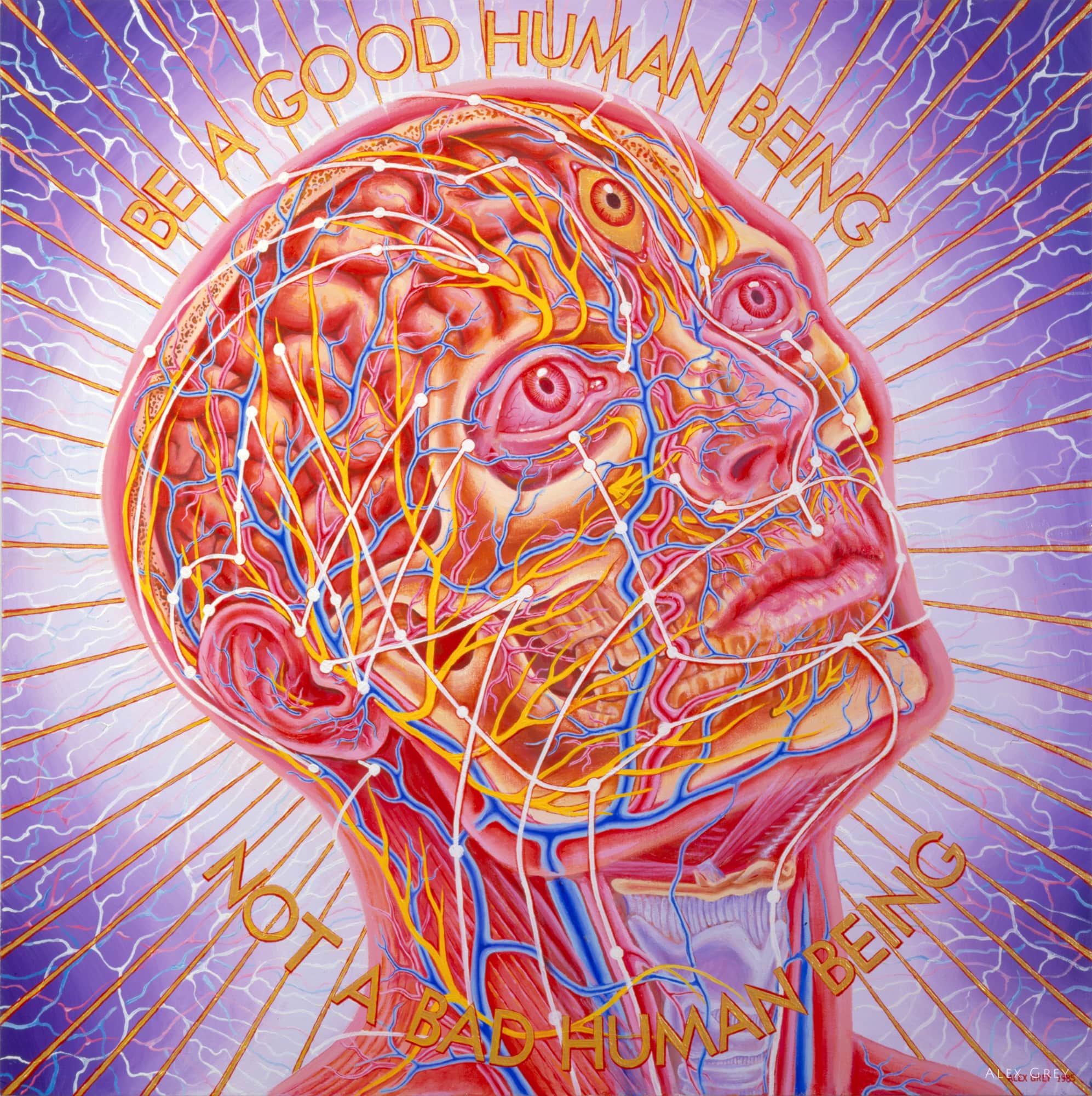 Young & Old by Alex Grey
