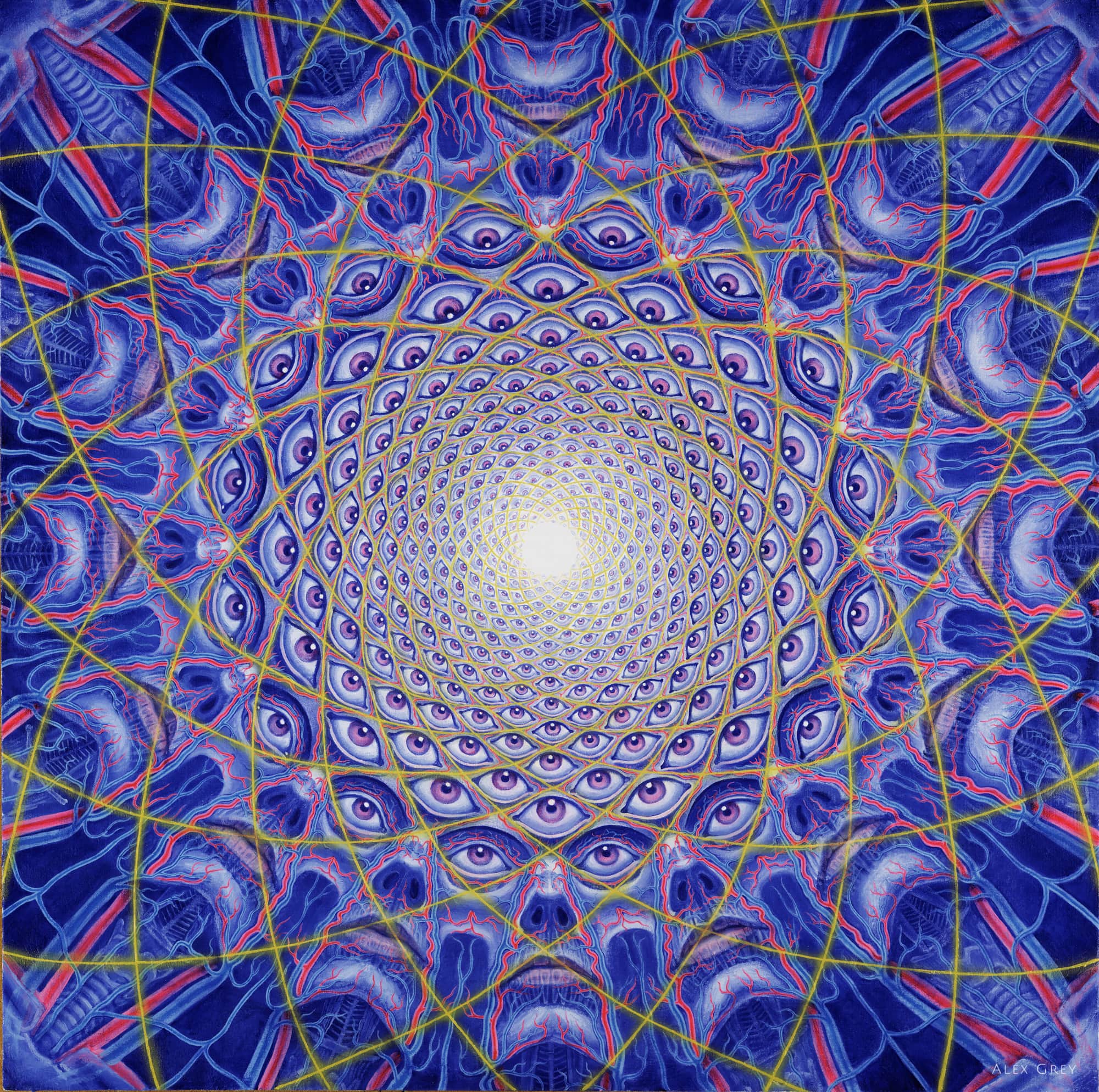 Alex Grey Lateralus Eye