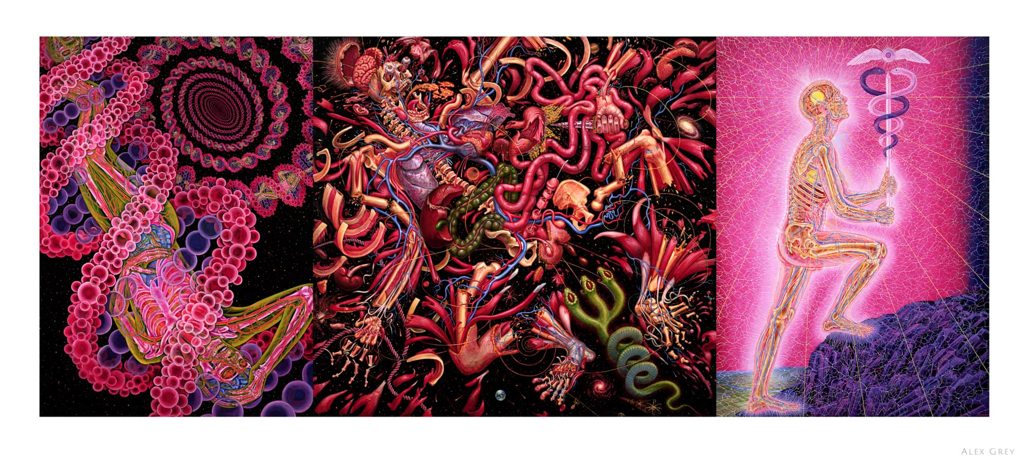 Die Reise des verwundeten Heilers von Alex Grey