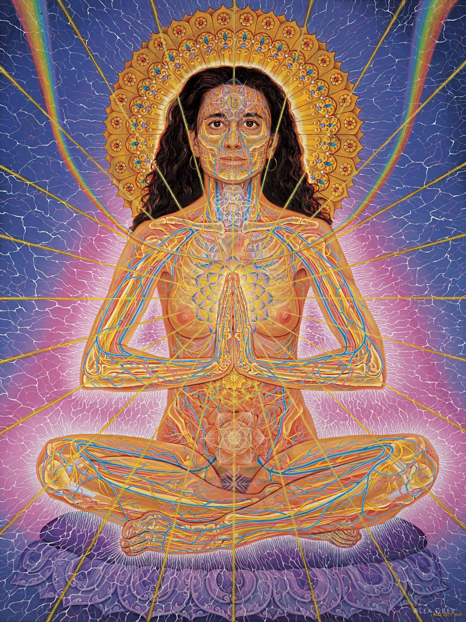 Namaste alex sales and ani