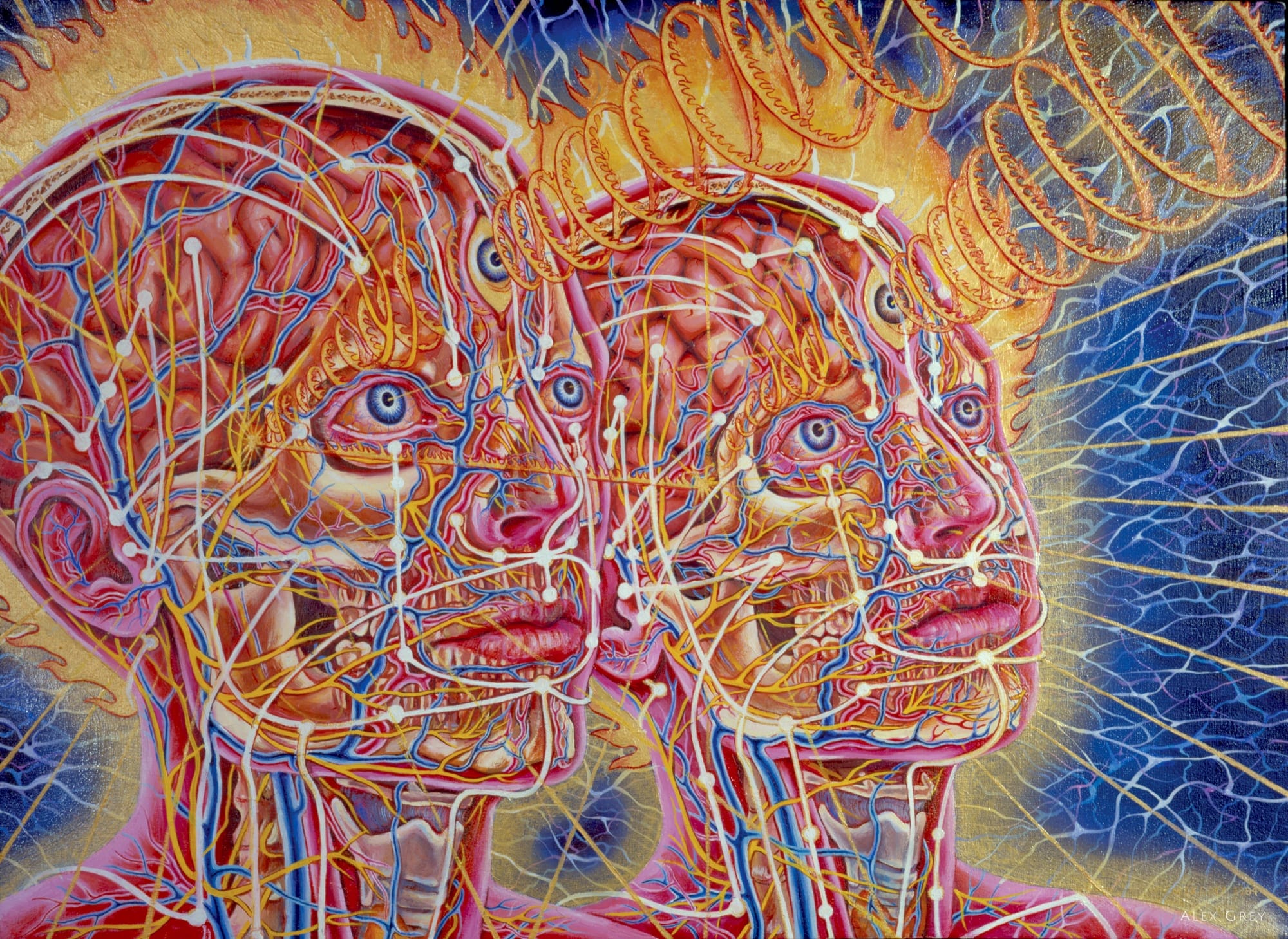 Eclipse by Alex Grey