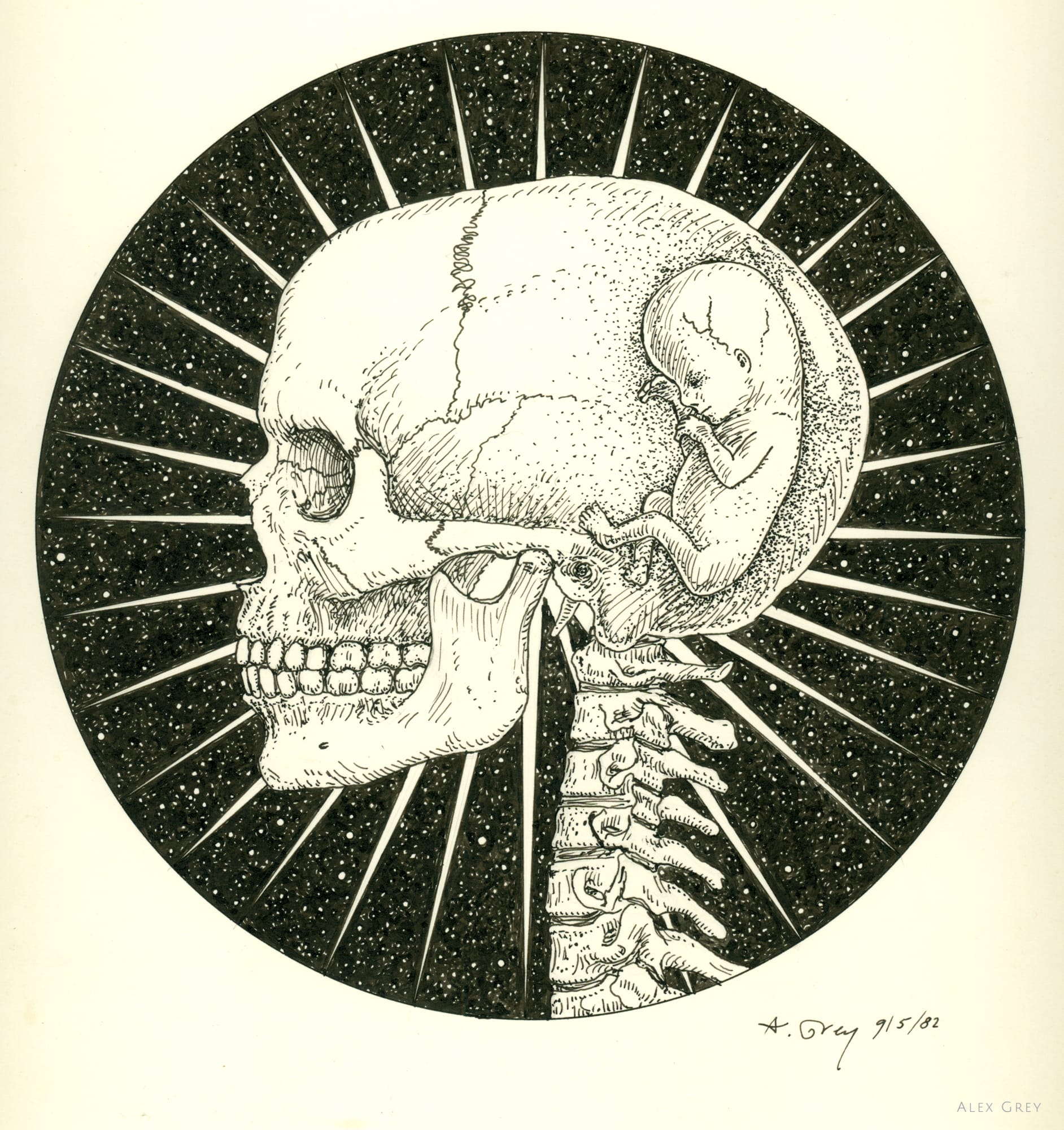 絵画 the memory in the womb Skull-Fetus-Tondo_9-5-1982.jpeg