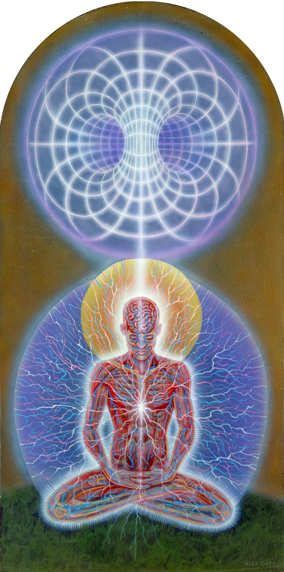 WORLD SPIRIT / ALEX GREY - ミュージック