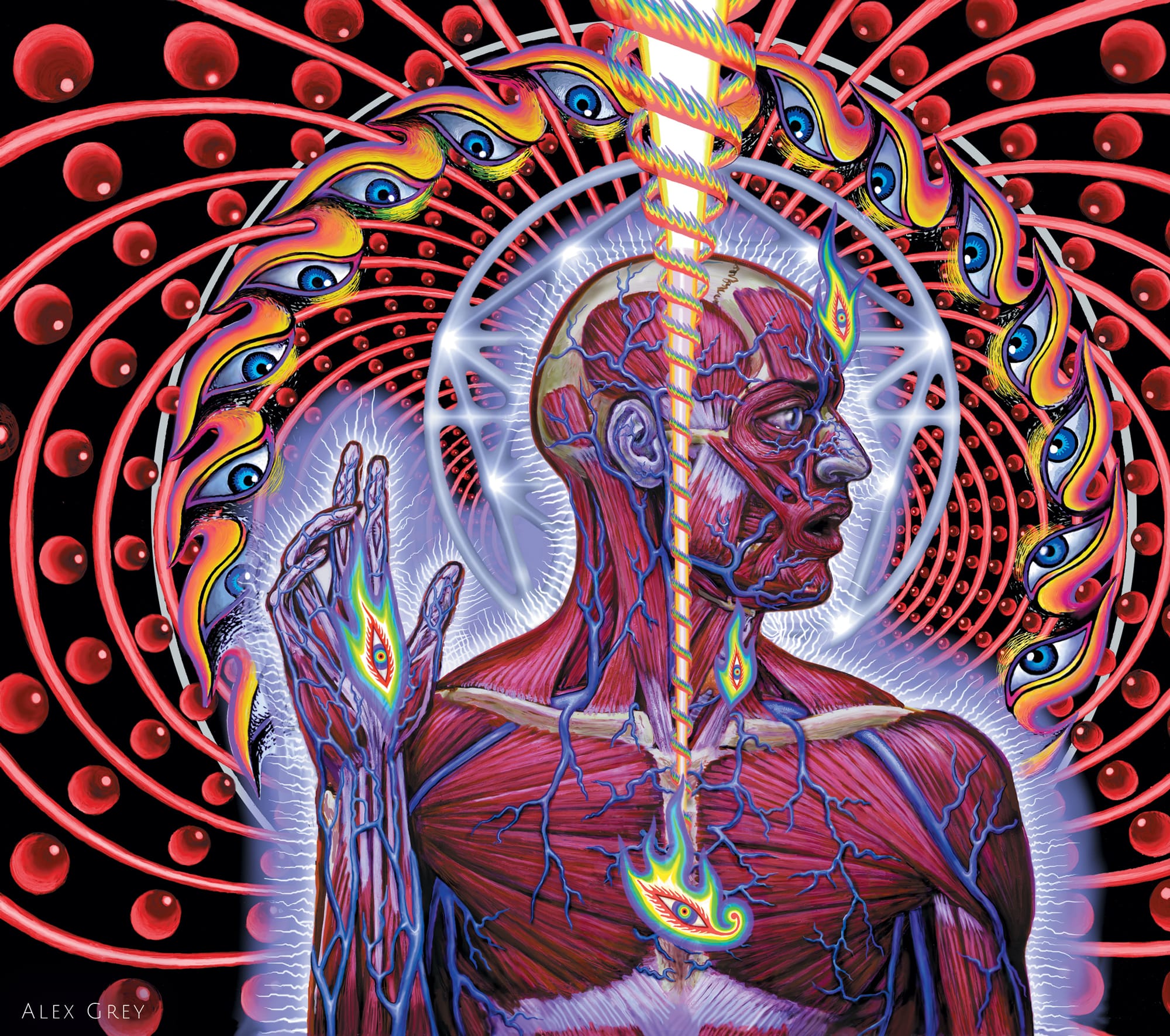 Alex Grey Collective Vision