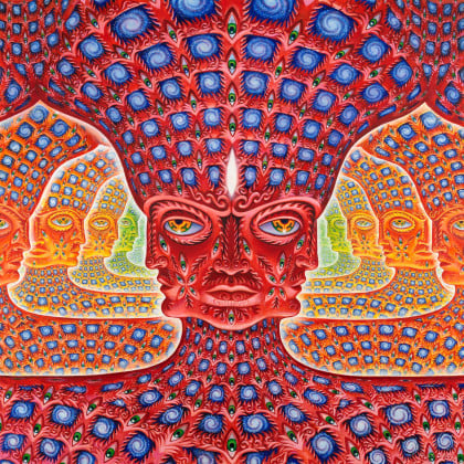 Alex Grey Tool Band Digital Art by Ernes Tinere - Fine Art America