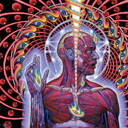 https://www.alexgrey.com/img/containers/art_images/tool-dissectional-alex-grey-watermarked.jpg/f7e97b1d9c7d89d290ae6c41e647ea19.jpg