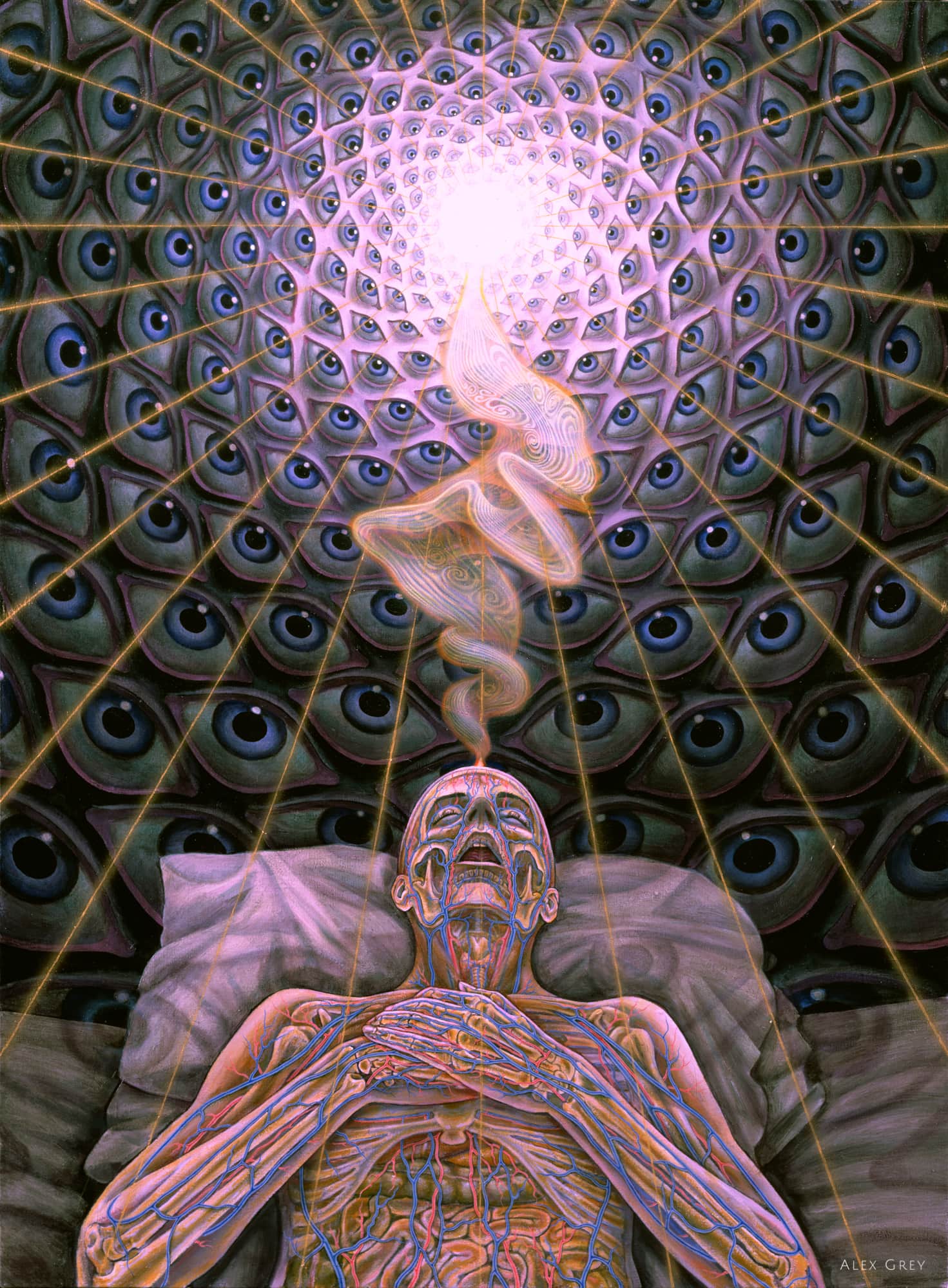 Alex Grey 10000 Days 